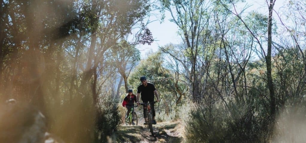 People riding bicycle in bush 